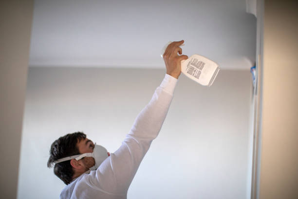 Best Mold Cleaning Services  in Appomattox, VA