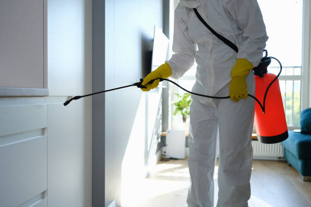 Mold Testing and Removal in Appomattox, VA